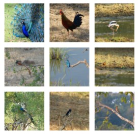 Artenvielfalt im Yala Nationalpark