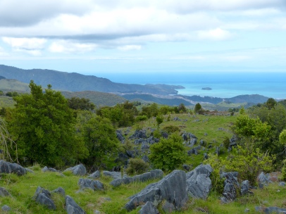 Blick auf den Abel Tasman Park