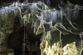 Spellbound Glowworm Caves