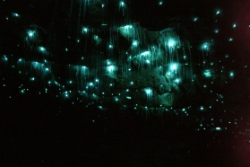 Spellbound Glowworm Caves